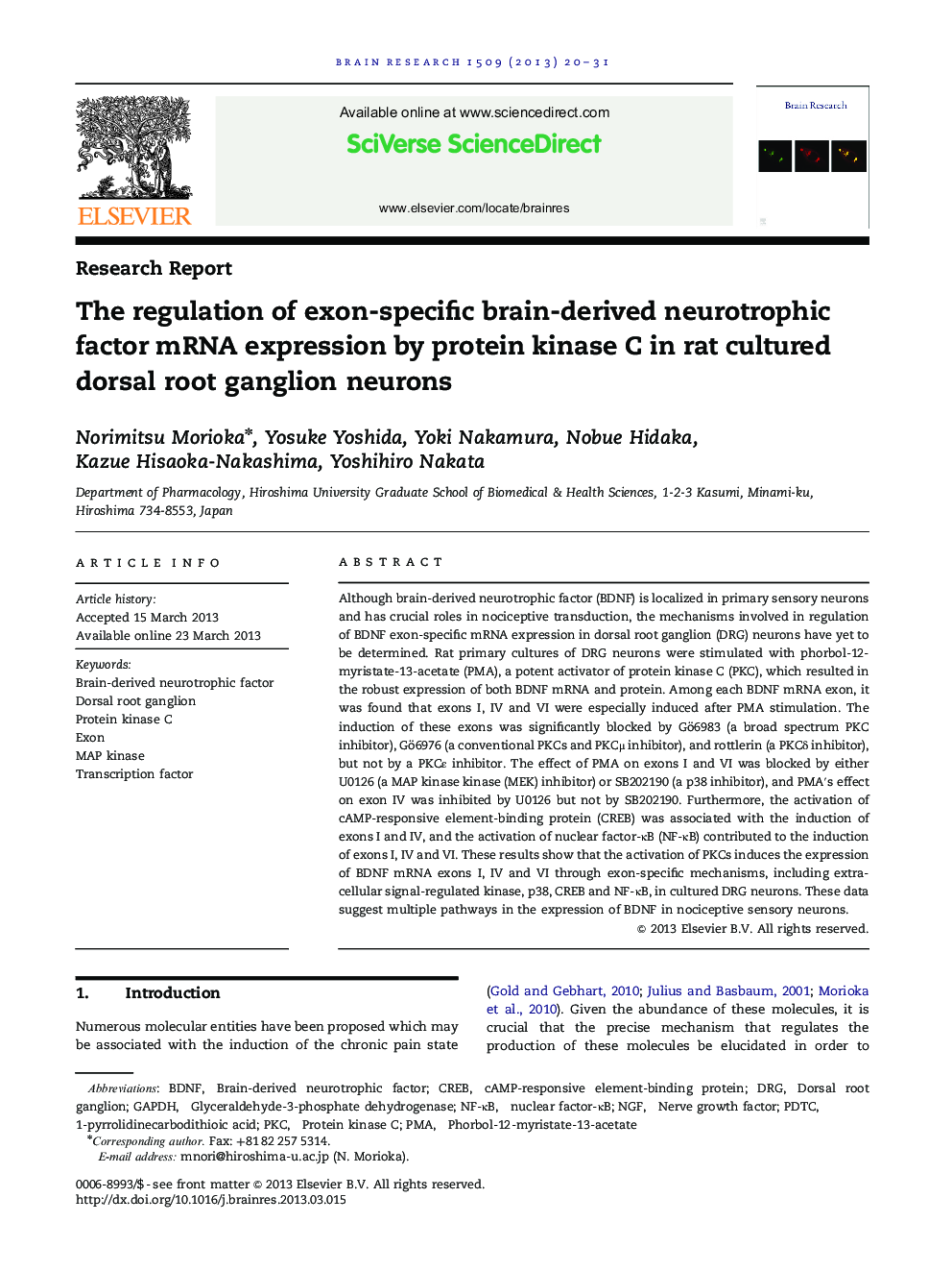 The regulation of exon-specific brain-derived neurotrophic factor mRNA expression by protein kinase C in rat cultured dorsal root ganglion neurons