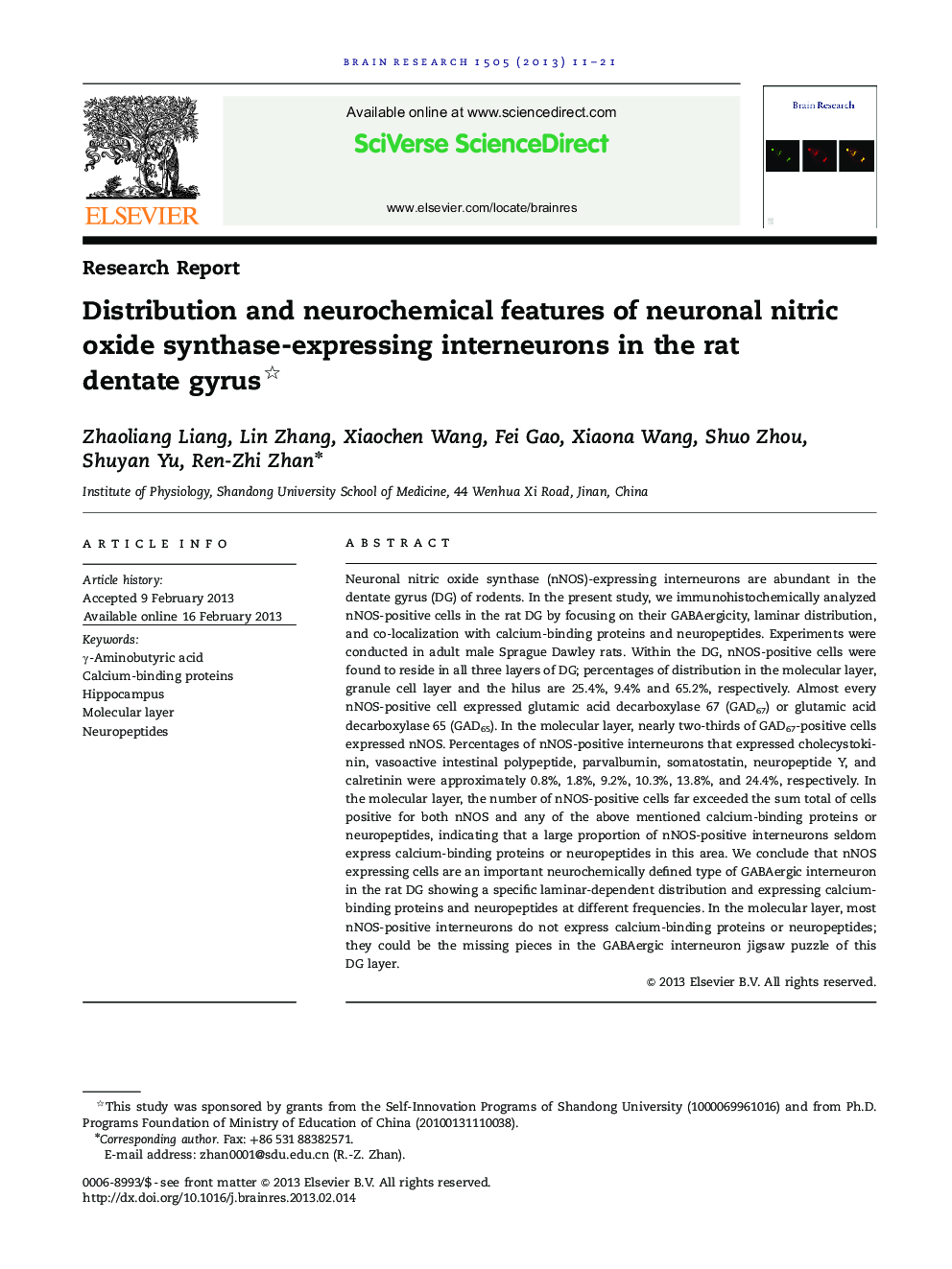 Distribution and neurochemical features of neuronal nitric oxide synthase-expressing interneurons in the rat dentate gyrus 