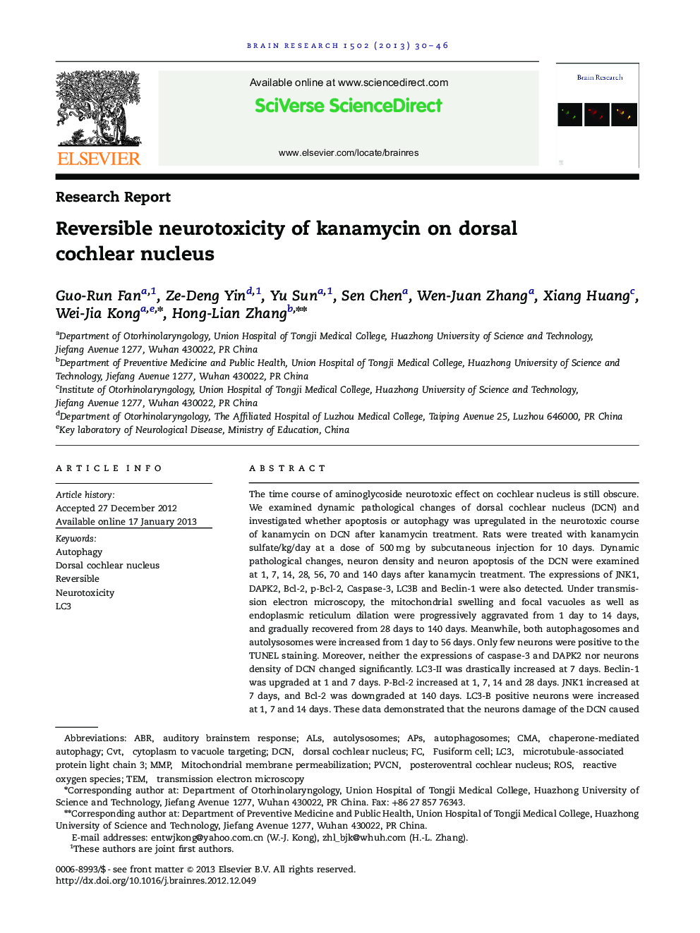 Reversible neurotoxicity of kanamycin on dorsal cochlear nucleus