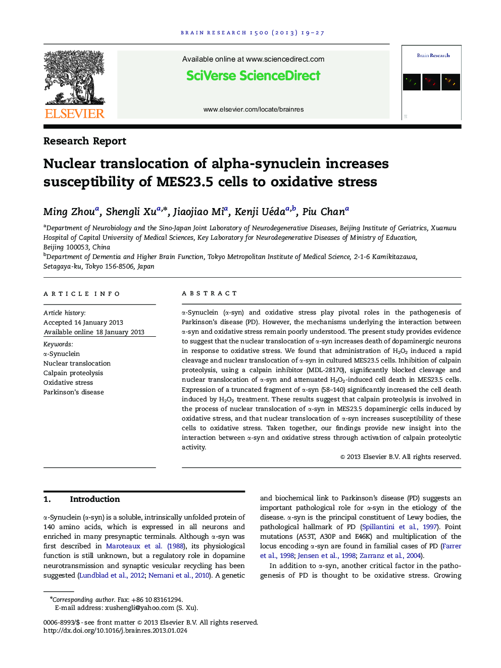 Nuclear translocation of alpha-synuclein increases susceptibility of MES23.5 cells to oxidative stress