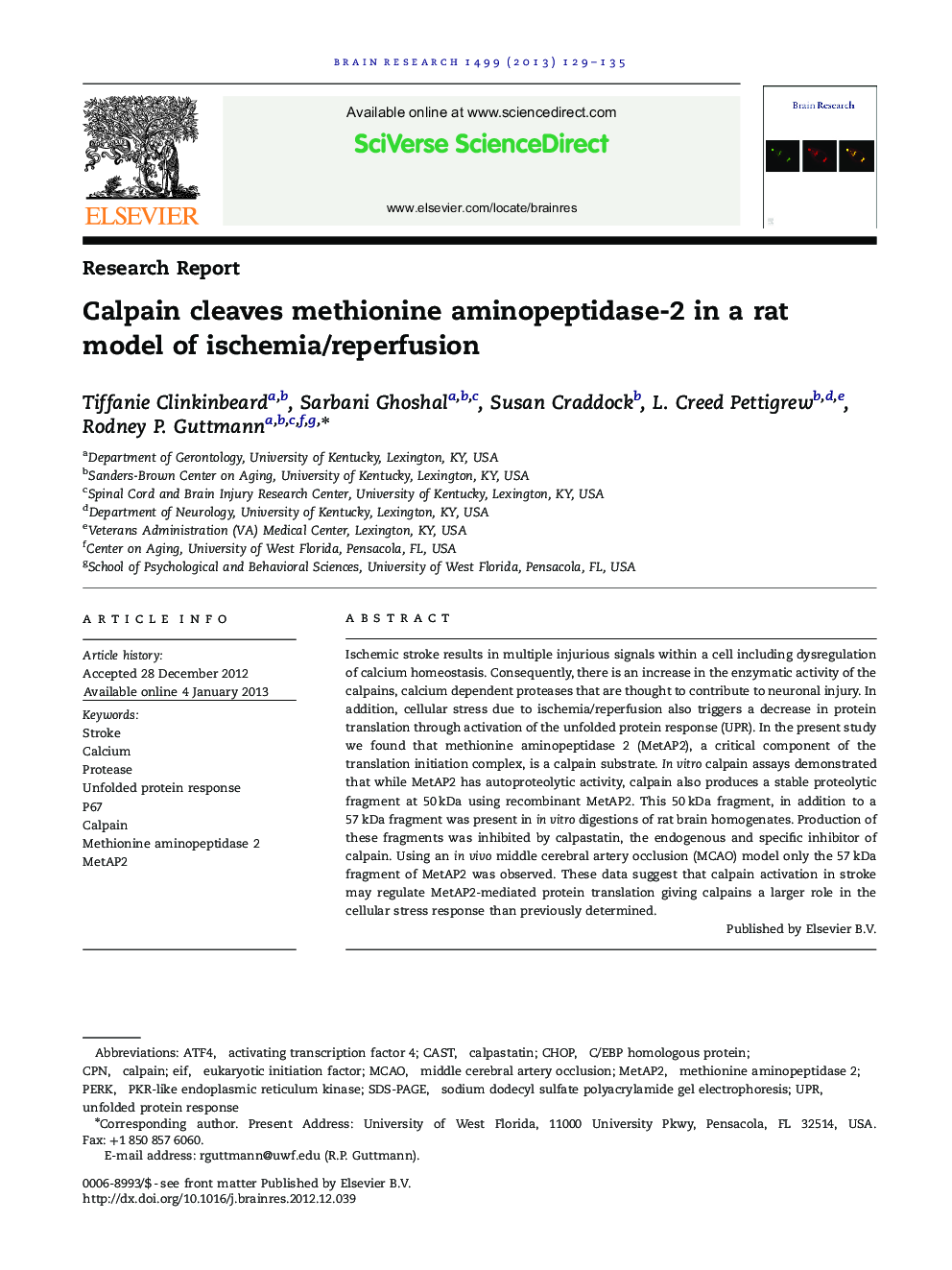 Calpain cleaves methionine aminopeptidase-2 in a rat model of ischemia/reperfusion