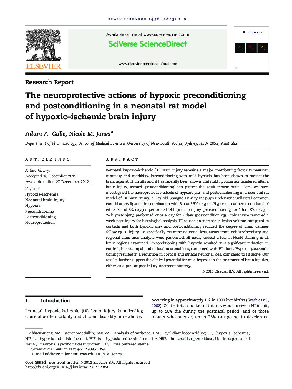 The neuroprotective actions of hypoxic preconditioning and postconditioning in a neonatal rat model of hypoxic–ischemic brain injury