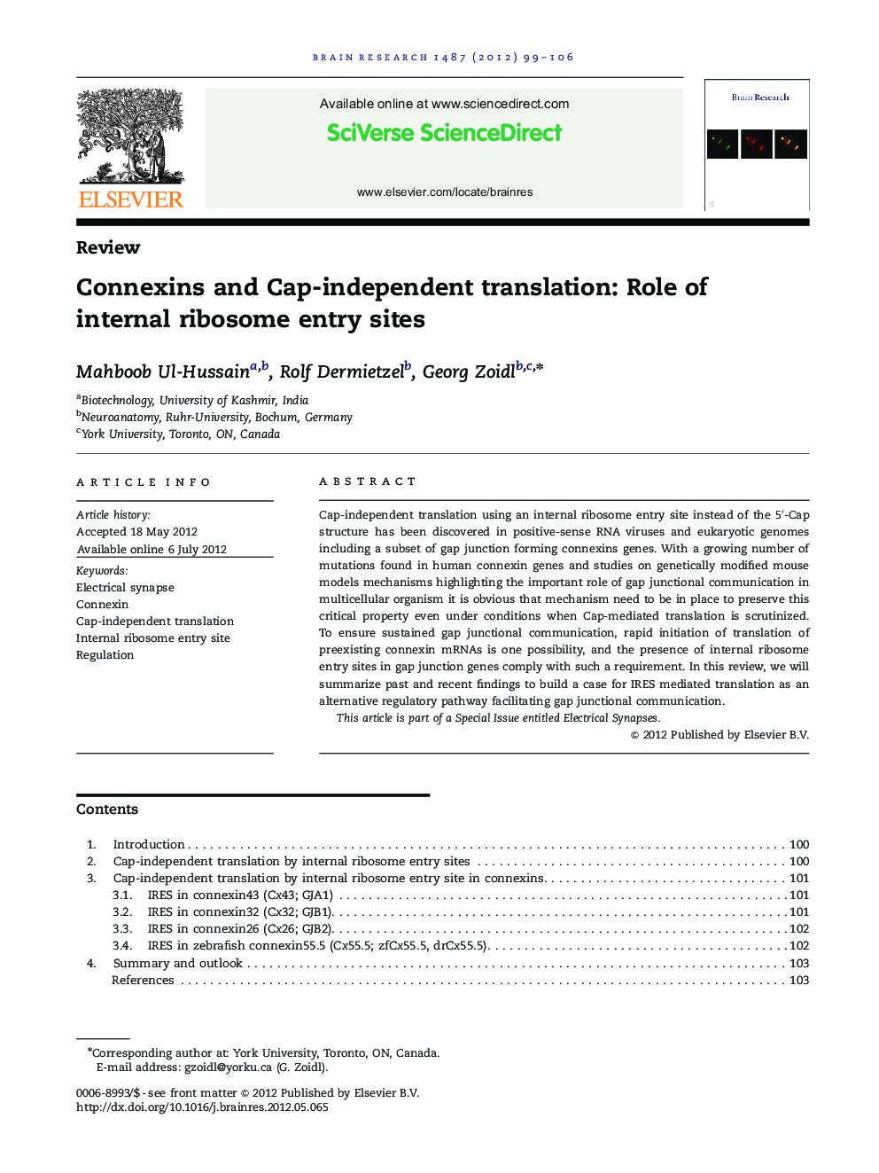 Connexins and Cap-independent translation: Role of internal ribosome entry sites