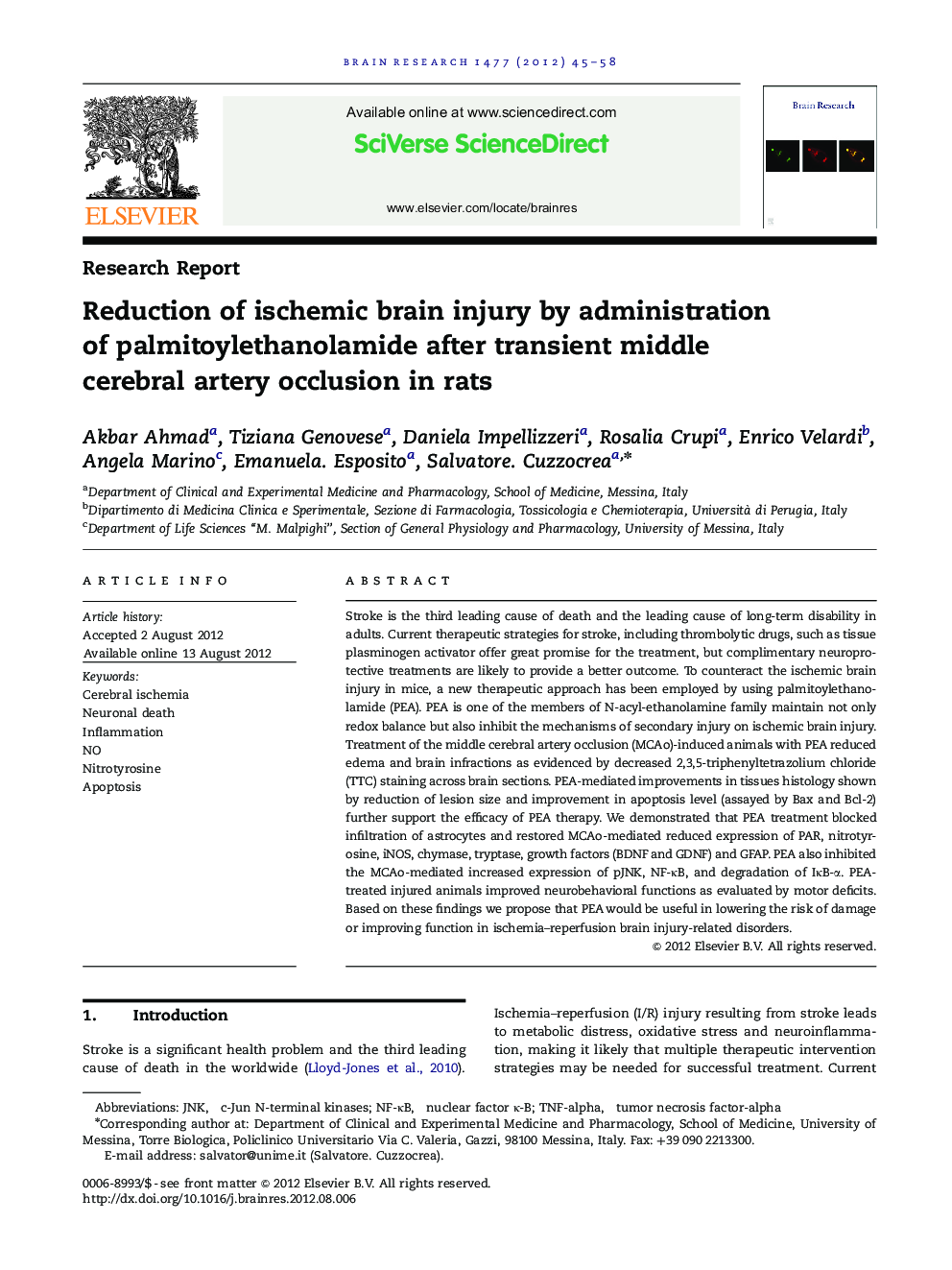 Reduction of ischemic brain injury by administration of palmitoylethanolamide after transient middle cerebral artery occlusion in rats