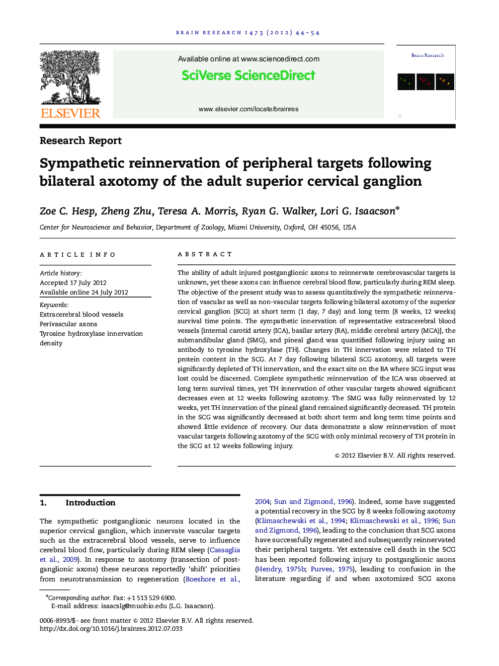 Sympathetic reinnervation of peripheral targets following bilateral axotomy of the adult superior cervical ganglion