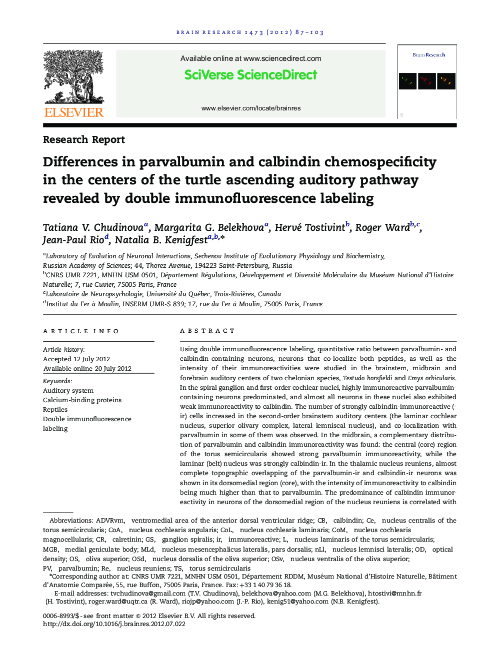 Differences in parvalbumin and calbindin chemospecificity in the centers of the turtle ascending auditory pathway revealed by double immunofluorescence labeling