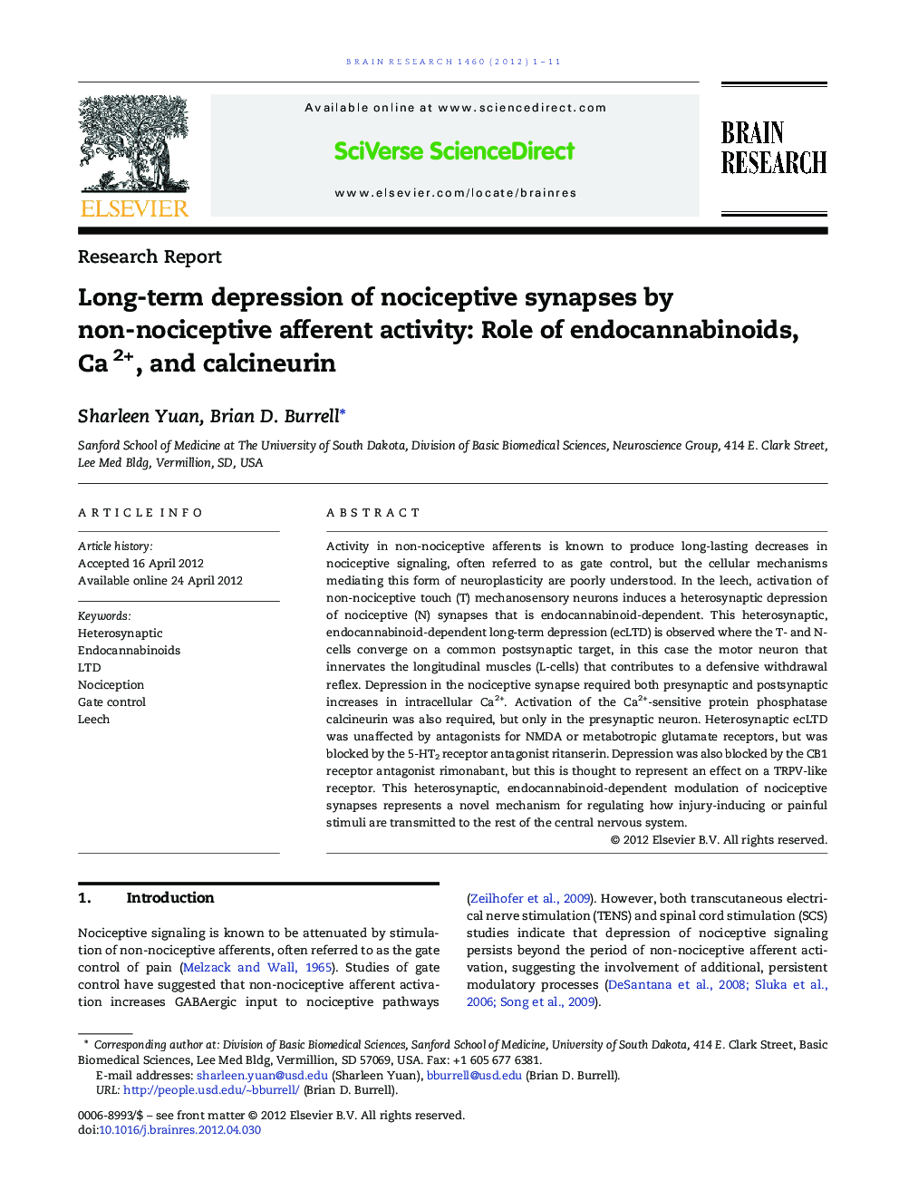 Long-term depression of nociceptive synapses by non-nociceptive afferent activity: Role of endocannabinoids, Ca2+, and calcineurin