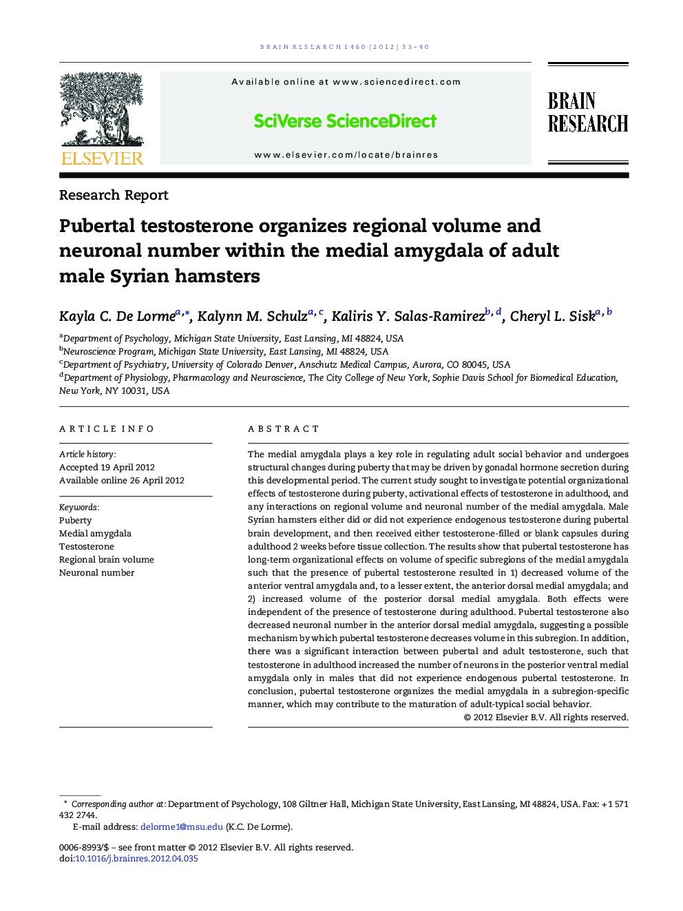 Pubertal testosterone organizes regional volume and neuronal number within the medial amygdala of adult male Syrian hamsters