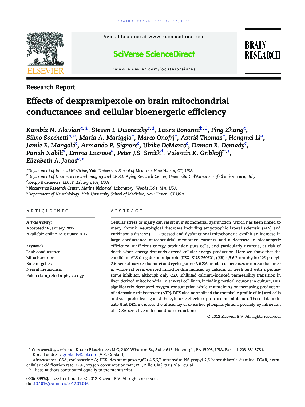 Effects of dexpramipexole on brain mitochondrial conductances and cellular bioenergetic efficiency