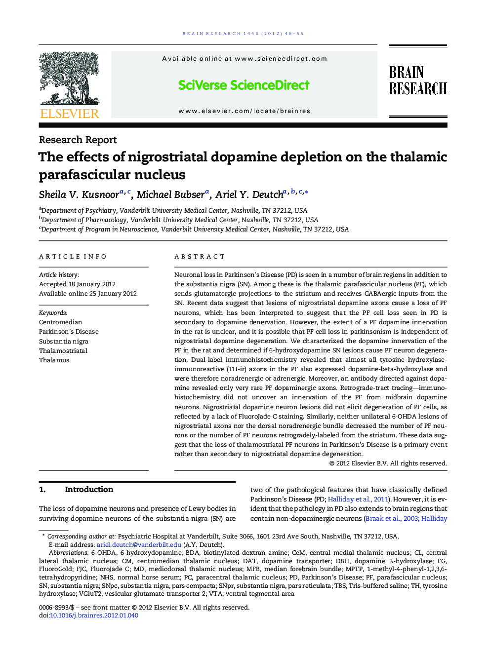 The effects of nigrostriatal dopamine depletion on the thalamic parafascicular nucleus