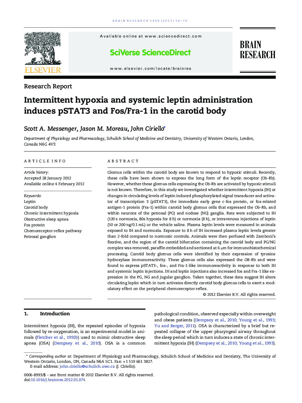 Intermittent hypoxia and systemic leptin administration induces pSTAT3 and Fos/Fra-1 in the carotid body