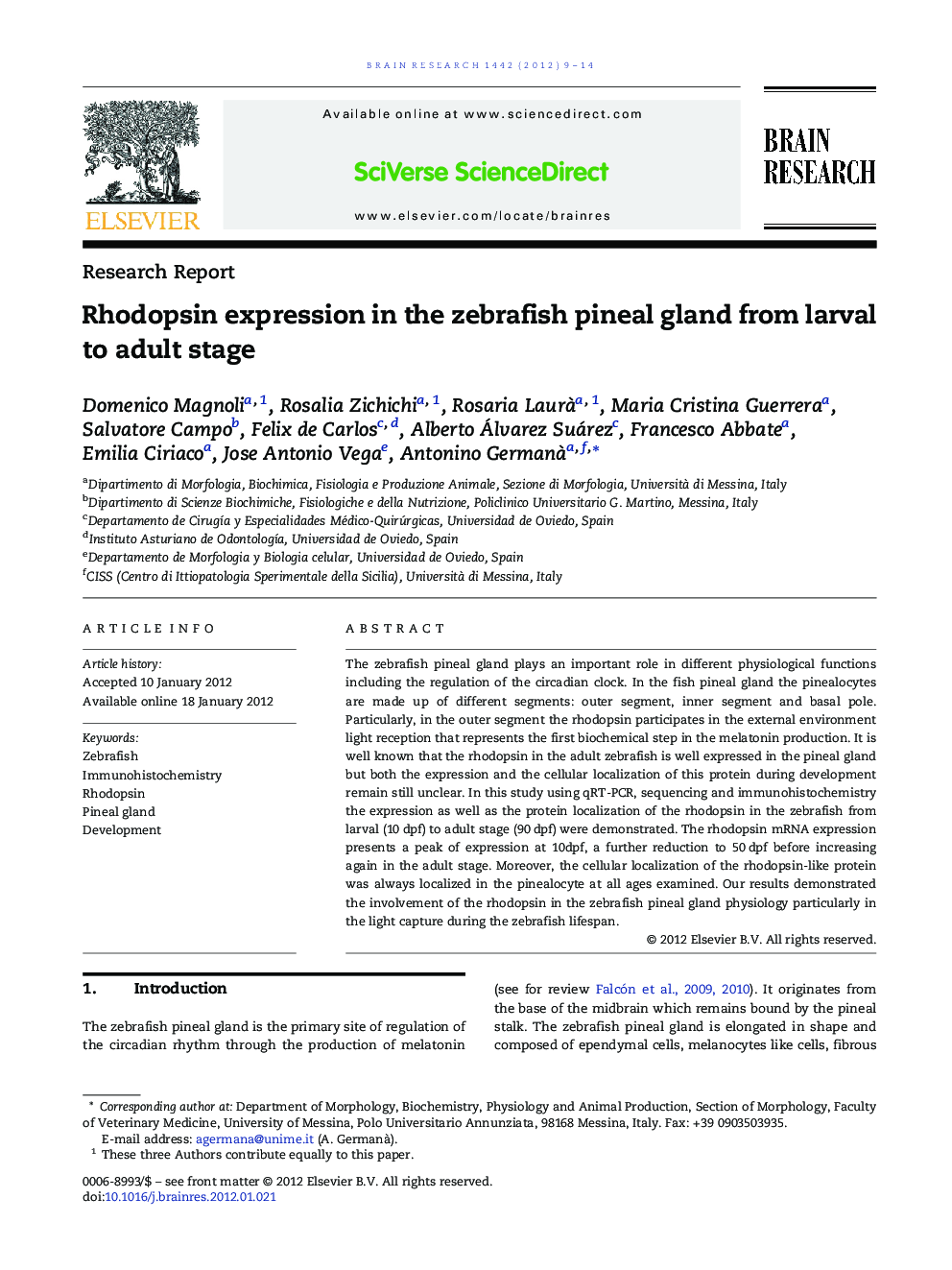 Rhodopsin expression in the zebrafish pineal gland from larval to adult stage