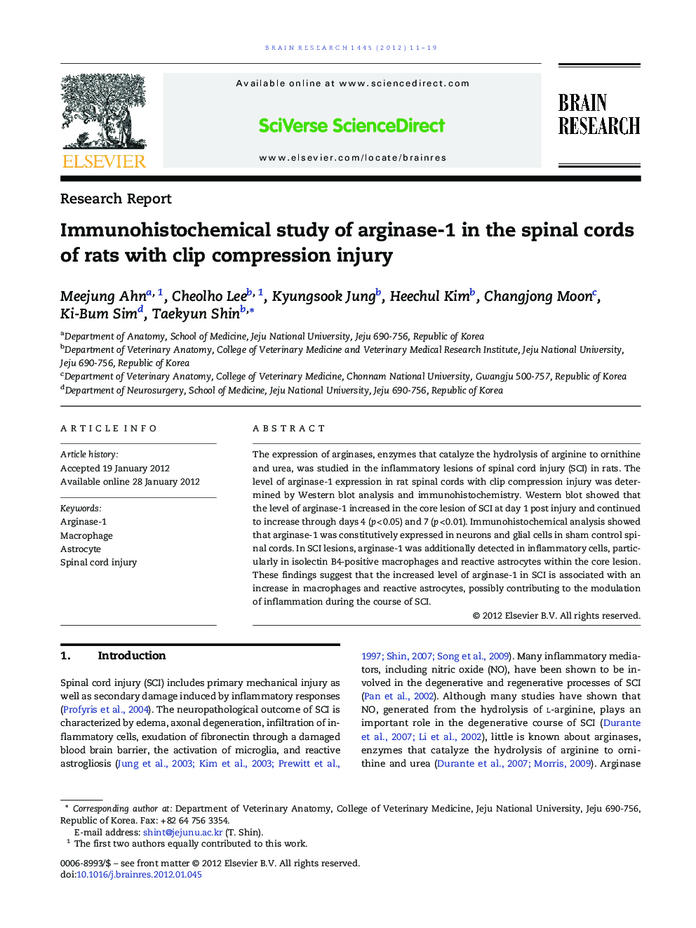 Immunohistochemical study of arginase-1 in the spinal cords of rats with clip compression injury