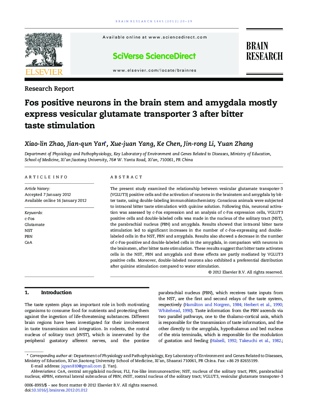 Fos positive neurons in the brain stem and amygdala mostly express vesicular glutamate transporter 3 after bitter taste stimulation