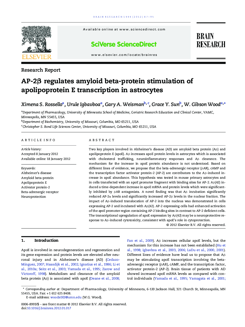 AP-2β regulates amyloid beta-protein stimulation of apolipoprotein E transcription in astrocytes