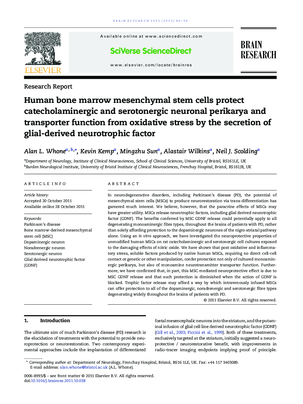 Human bone marrow mesenchymal stem cells protect catecholaminergic and serotonergic neuronal perikarya and transporter function from oxidative stress by the secretion of glial-derived neurotrophic factor