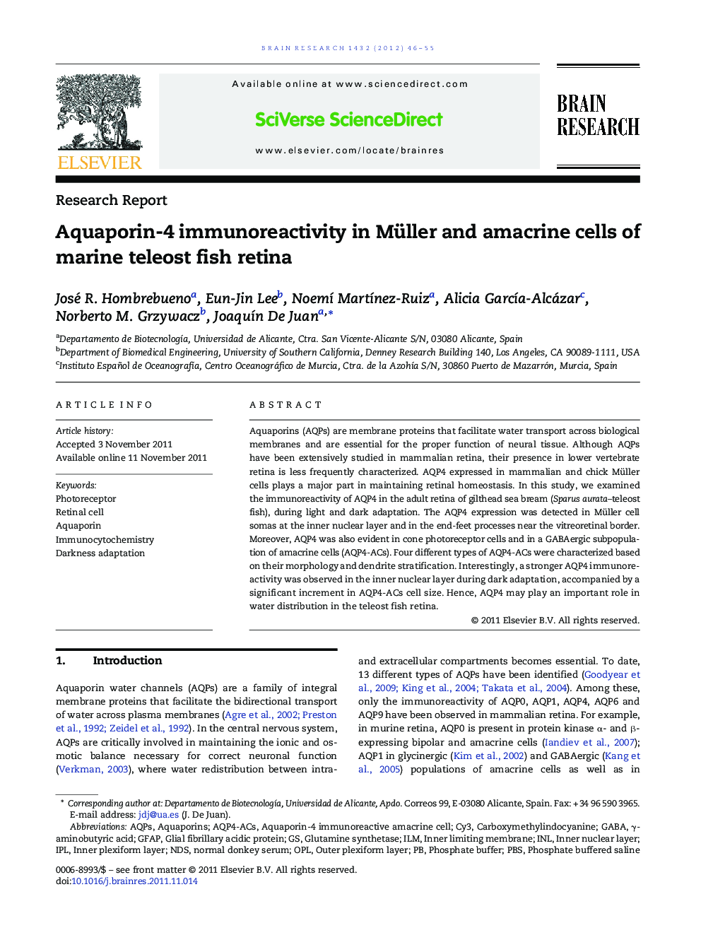 Aquaporin-4 immunoreactivity in Müller and amacrine cells of marine teleost fish retina