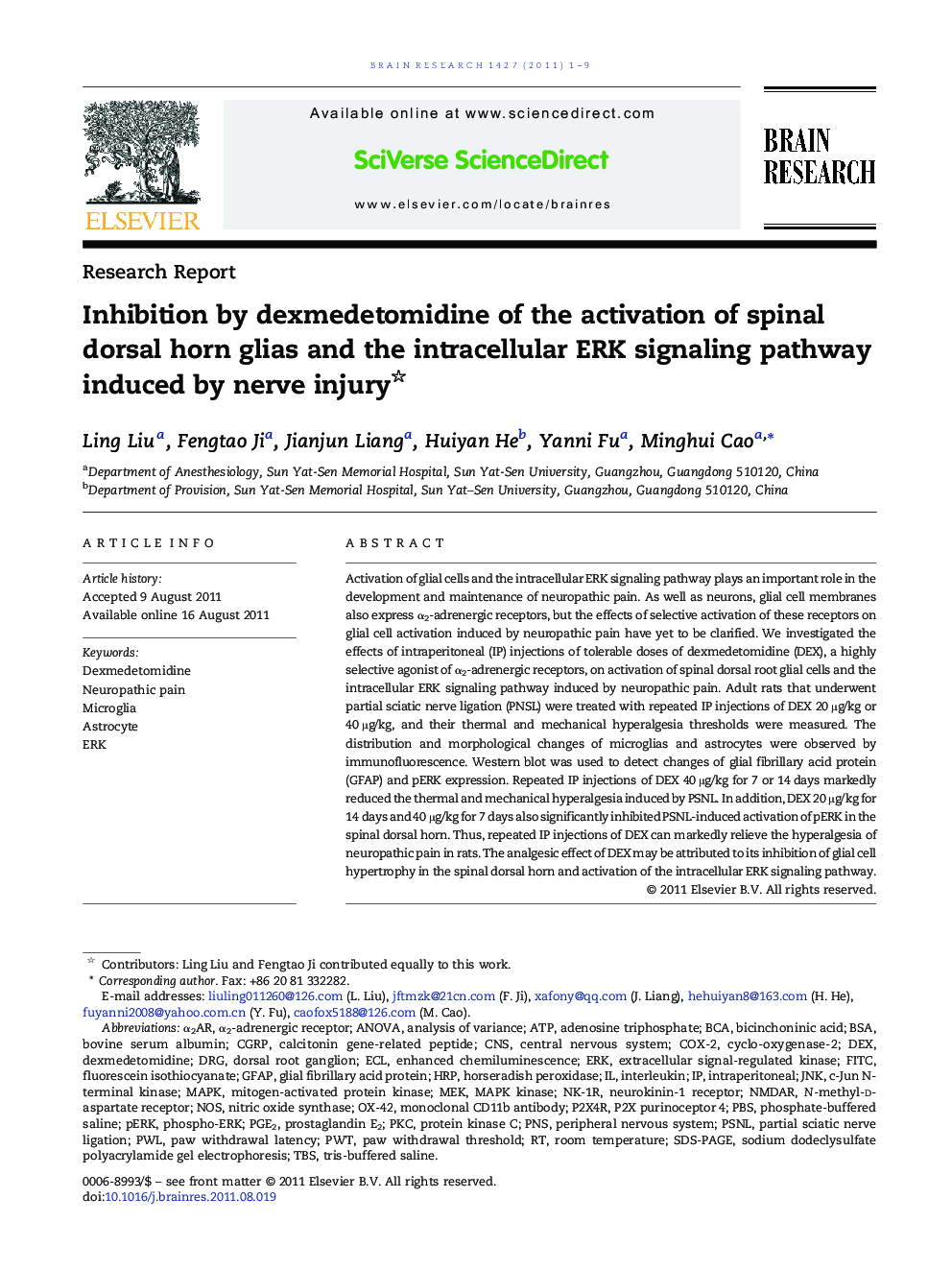 Inhibition by dexmedetomidine of the activation of spinal dorsal horn glias and the intracellular ERK signaling pathway induced by nerve injury 