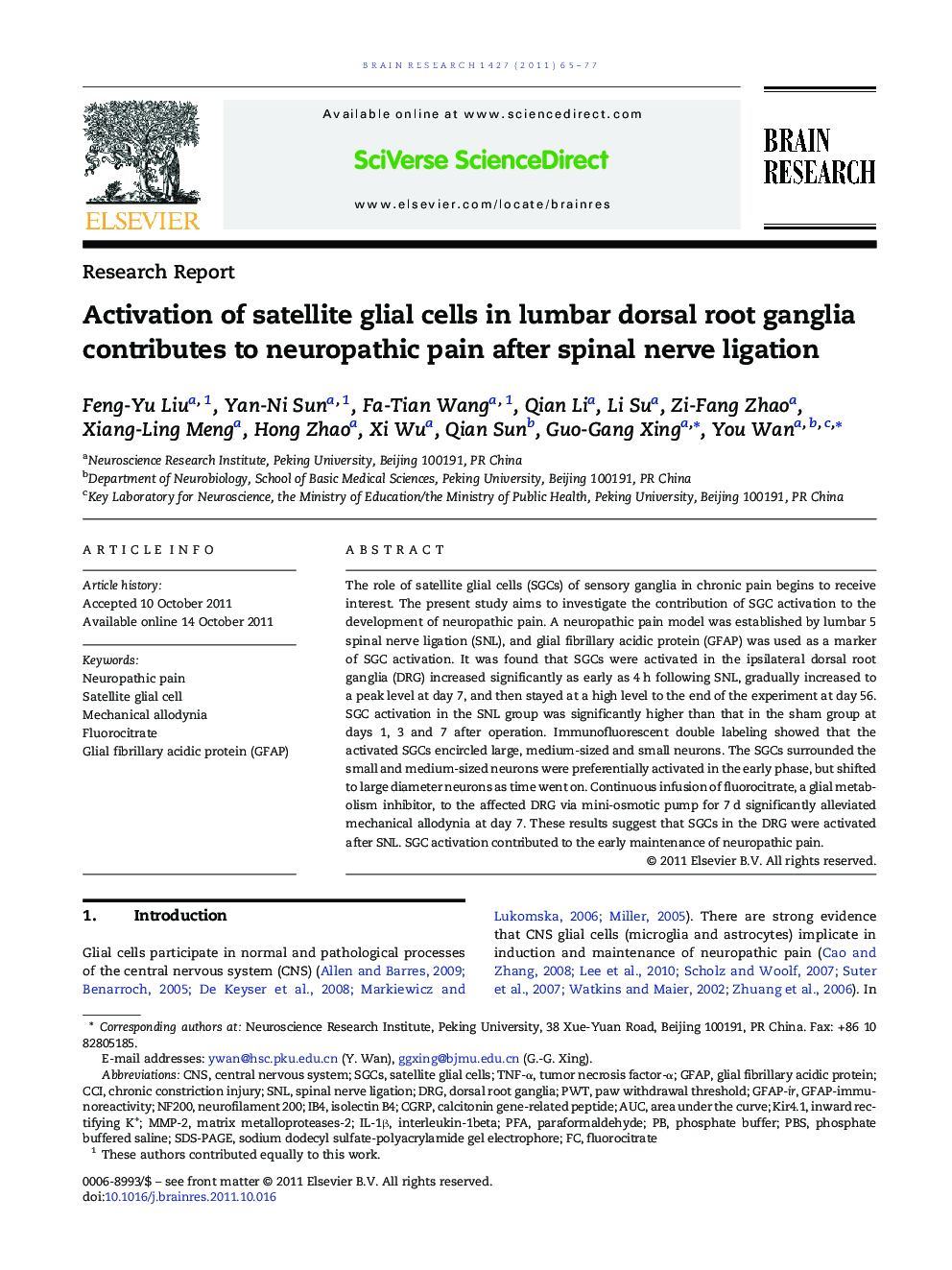 Activation of satellite glial cells in lumbar dorsal root ganglia contributes to neuropathic pain after spinal nerve ligation