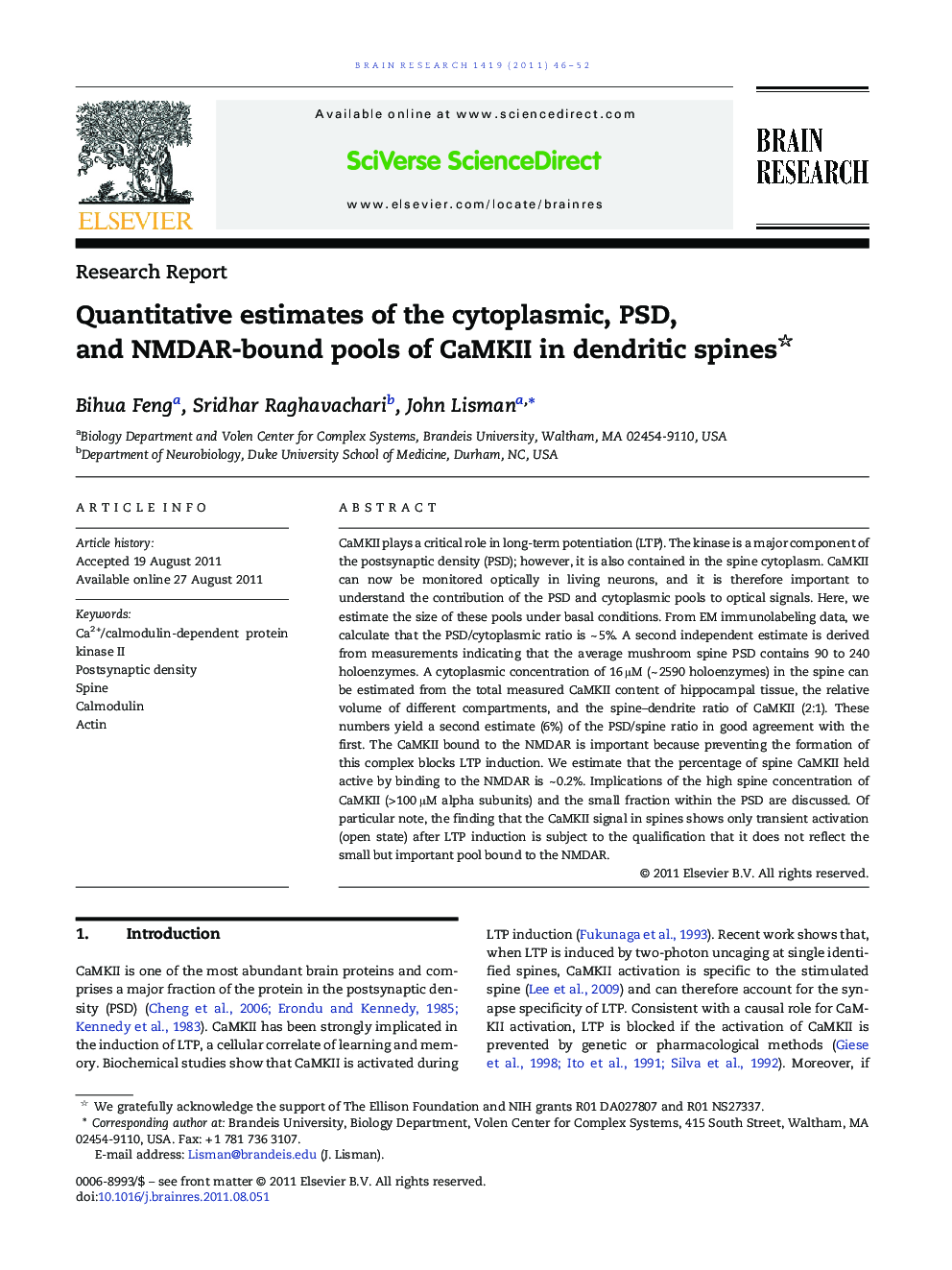 Quantitative estimates of the cytoplasmic, PSD, and NMDAR-bound pools of CaMKII in dendritic spines 