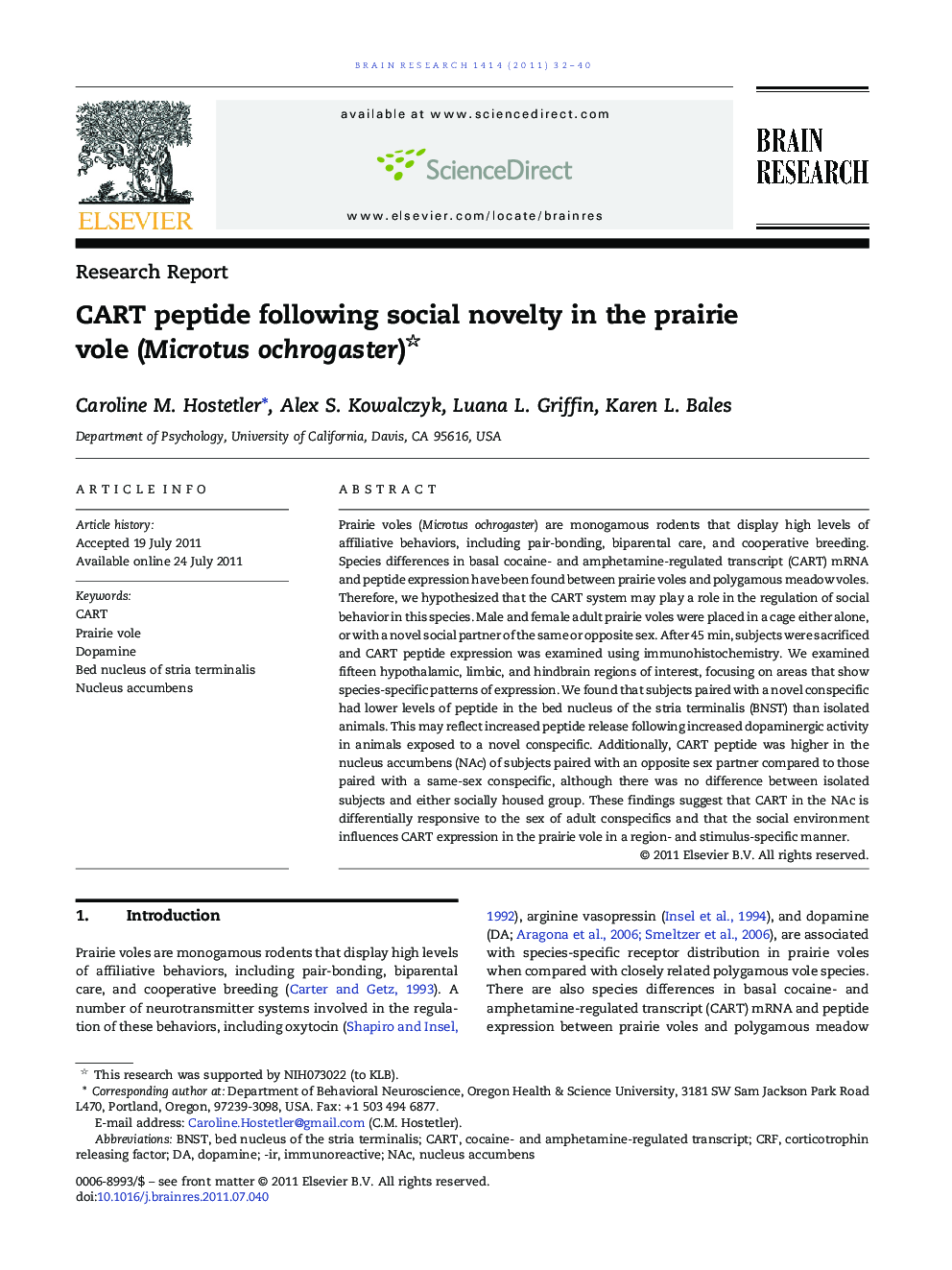 CART peptide following social novelty in the prairie vole (Microtus ochrogaster) 