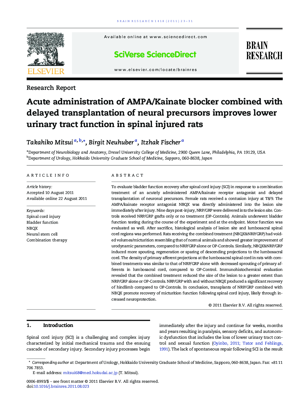 Acute administration of AMPA/Kainate blocker combined with delayed transplantation of neural precursors improves lower urinary tract function in spinal injured rats