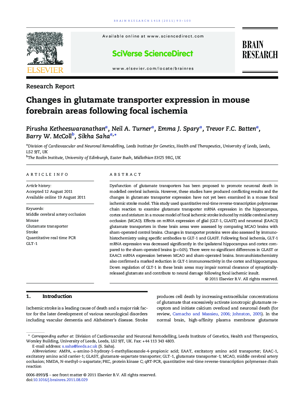 Changes in glutamate transporter expression in mouse forebrain areas following focal ischemia