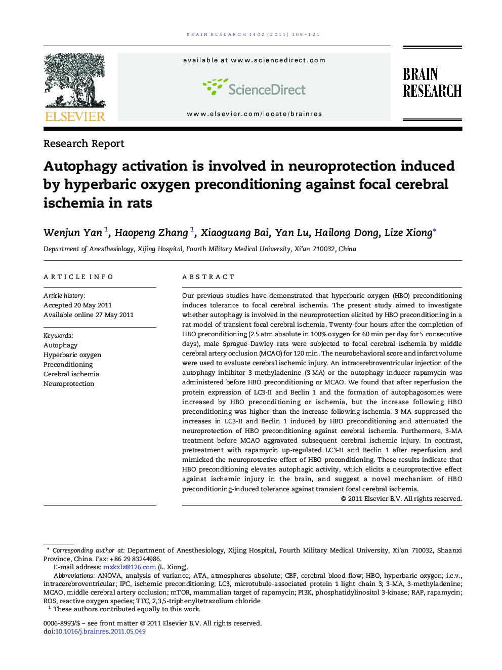 Autophagy activation is involved in neuroprotection induced by hyperbaric oxygen preconditioning against focal cerebral ischemia in rats