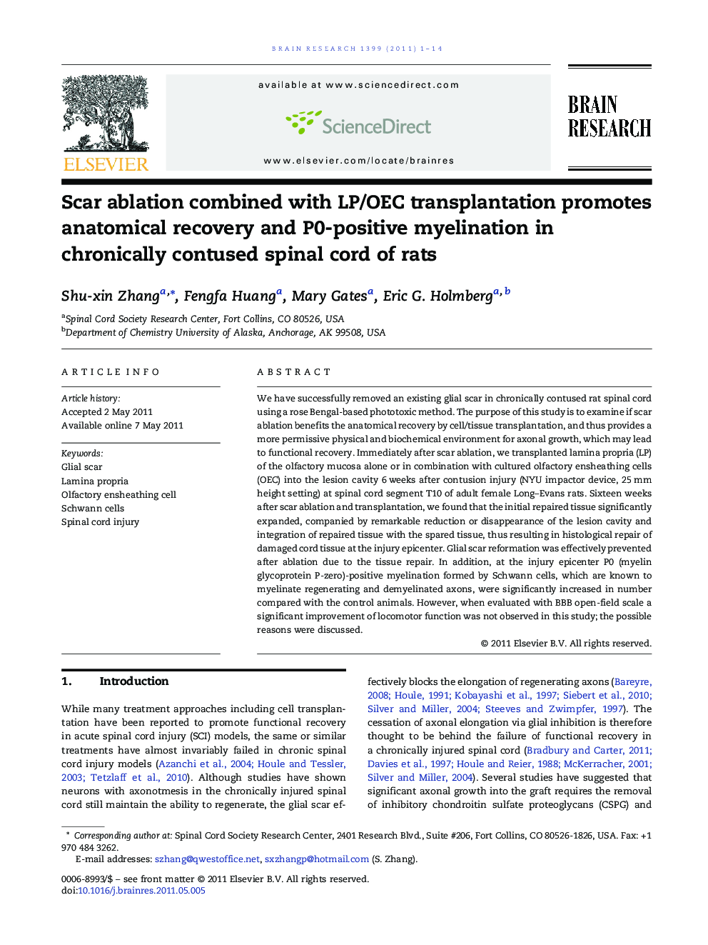 Scar ablation combined with LP/OEC transplantation promotes anatomical recovery and P0-positive myelination in chronically contused spinal cord of rats