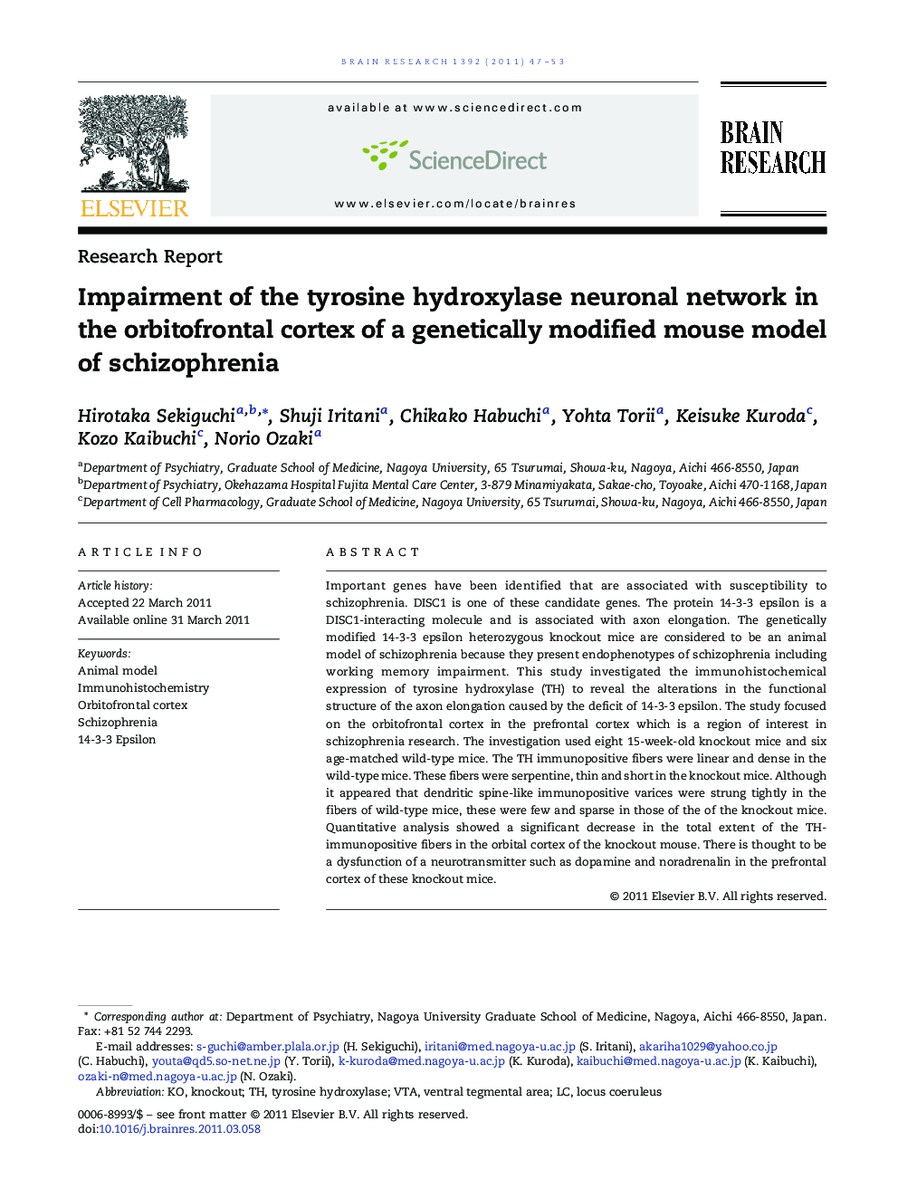 Impairment of the tyrosine hydroxylase neuronal network in the orbitofrontal cortex of a genetically modified mouse model of schizophrenia