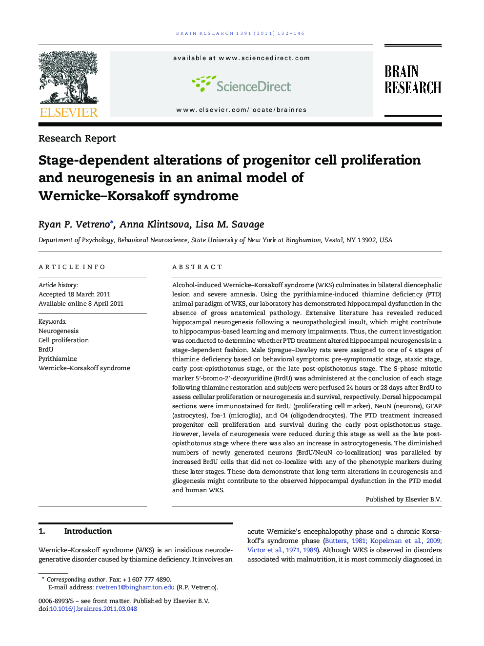 Stage-dependent alterations of progenitor cell proliferation and neurogenesis in an animal model of Wernicke–Korsakoff syndrome