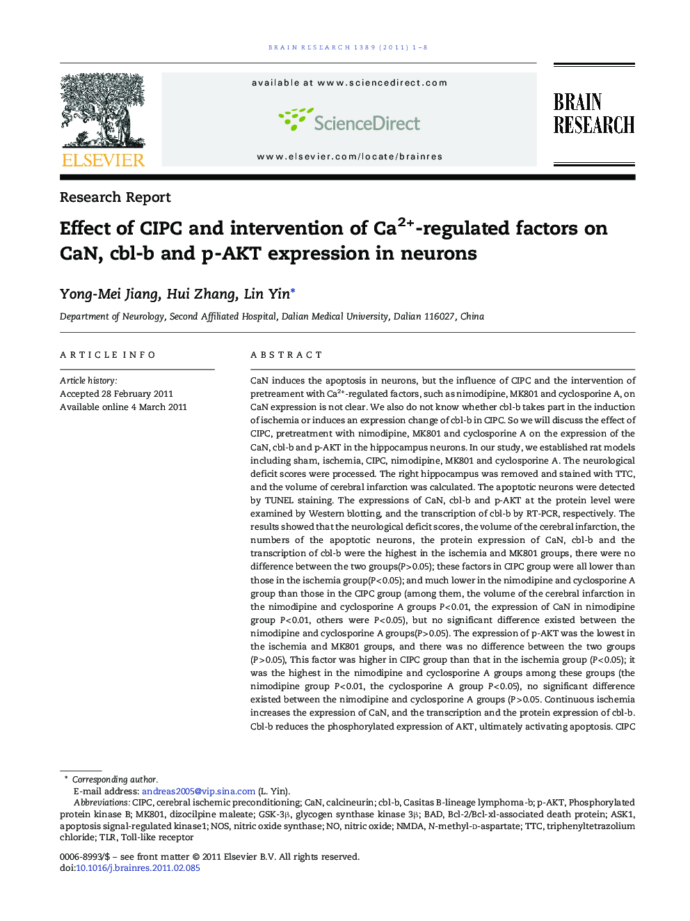 Effect of CIPC and intervention of Ca2+-regulated factors on CaN, cbl-b and p-AKT expression in neurons