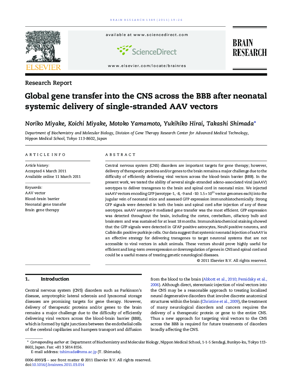 Global gene transfer into the CNS across the BBB after neonatal systemic delivery of single-stranded AAV vectors