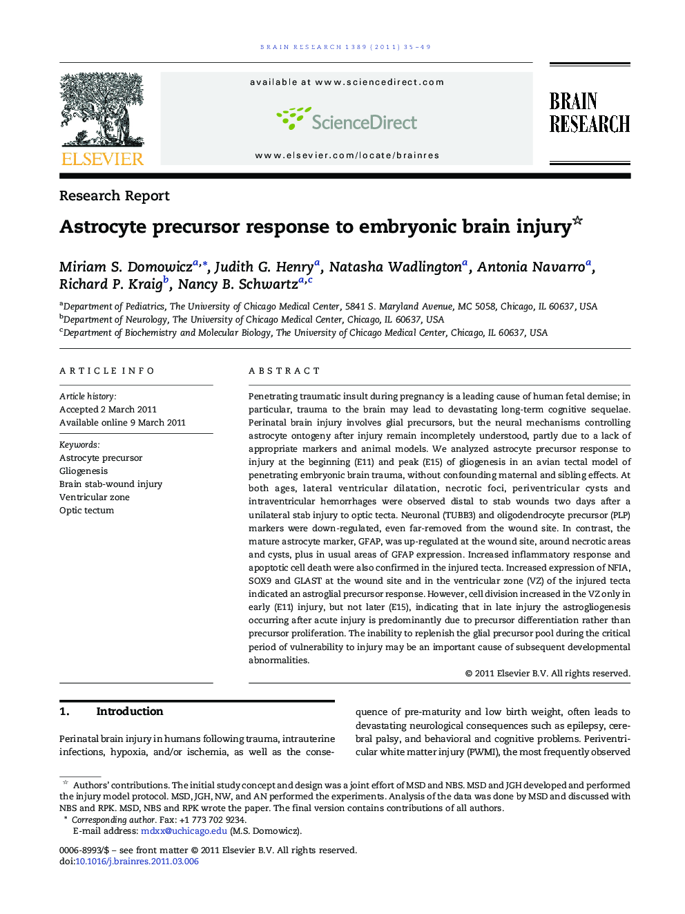 Astrocyte precursor response to embryonic brain injury 