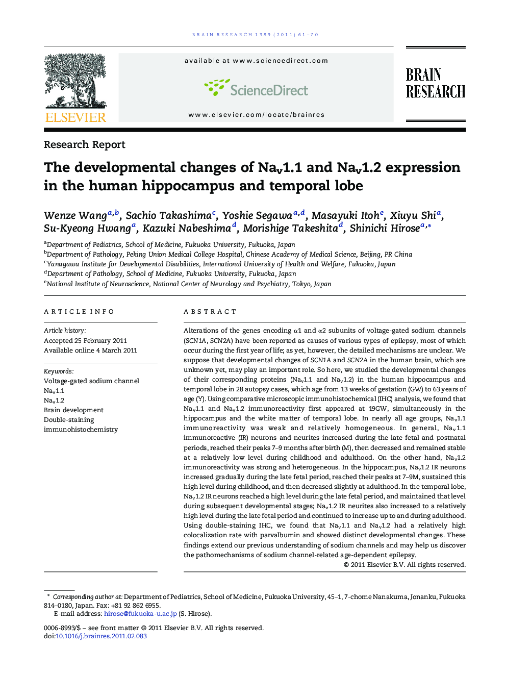 The developmental changes of Nav1.1 and Nav1.2 expression in the human hippocampus and temporal lobe