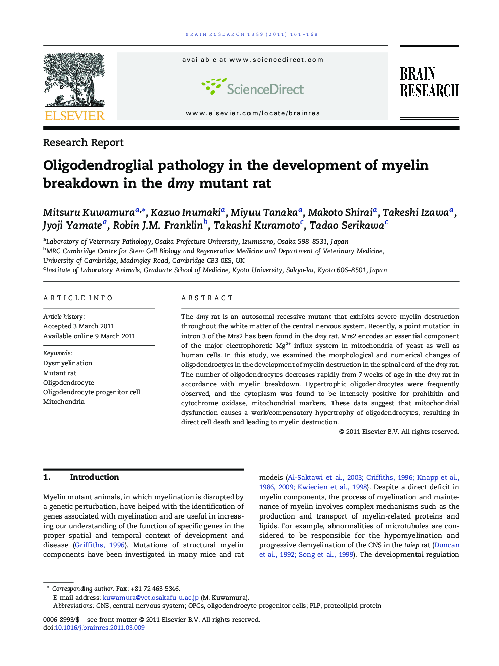 Oligodendroglial pathology in the development of myelin breakdown in the dmy mutant rat