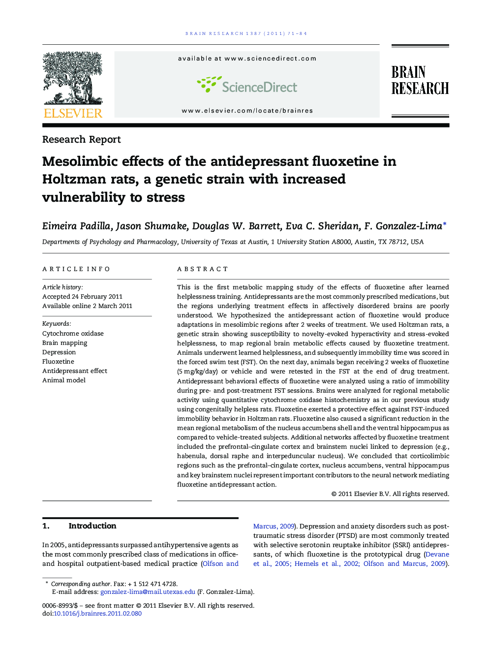 Mesolimbic effects of the antidepressant fluoxetine in Holtzman rats, a genetic strain with increased vulnerability to stress