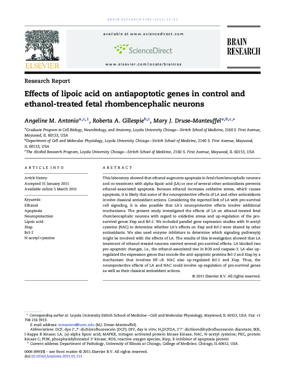 Effects of lipoic acid on antiapoptotic genes in control and ethanol-treated fetal rhombencephalic neurons