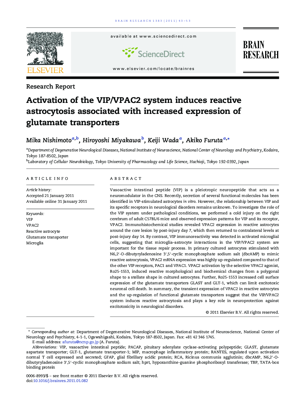 Activation of the VIP/VPAC2 system induces reactive astrocytosis associated with increased expression of glutamate transporters