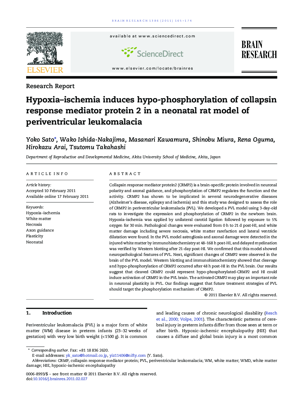 Hypoxia–ischemia induces hypo-phosphorylation of collapsin response mediator protein 2 in a neonatal rat model of periventricular leukomalacia