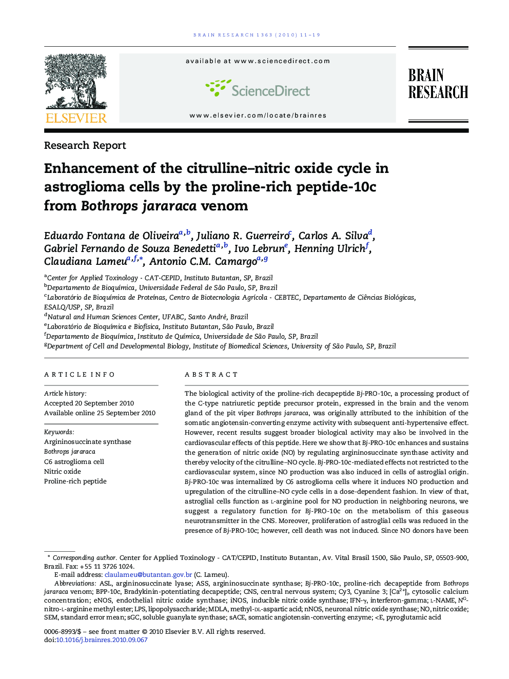 Enhancement of the citrulline–nitric oxide cycle in astroglioma cells by the proline-rich peptide-10c from Bothrops jararaca venom