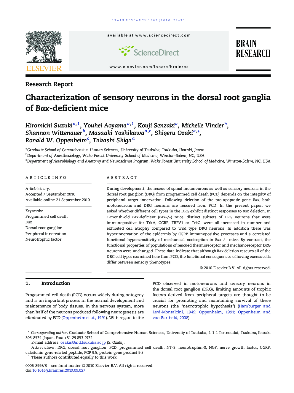 Characterization of sensory neurons in the dorsal root ganglia of Bax-deficient mice