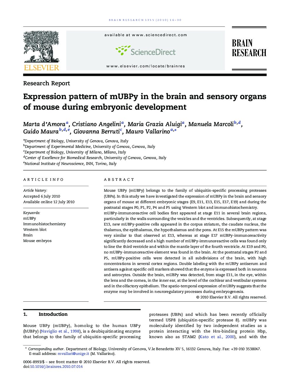 Expression pattern of mUBPy in the brain and sensory organs of mouse during embryonic development