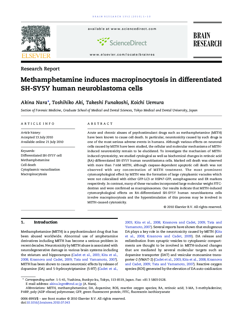 Methamphetamine induces macropinocytosis in differentiated SH-SY5Y human neuroblastoma cells