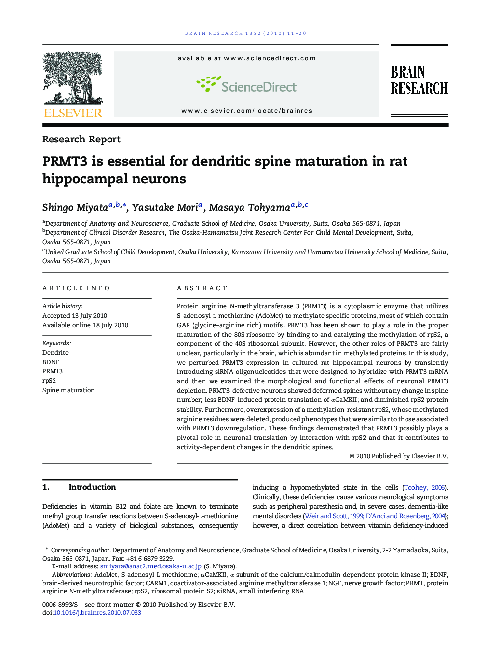 PRMT3 is essential for dendritic spine maturation in rat hippocampal neurons