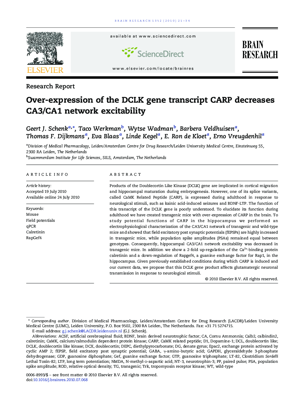 Over-expression of the DCLK gene transcript CARP decreases CA3/CA1 network excitability