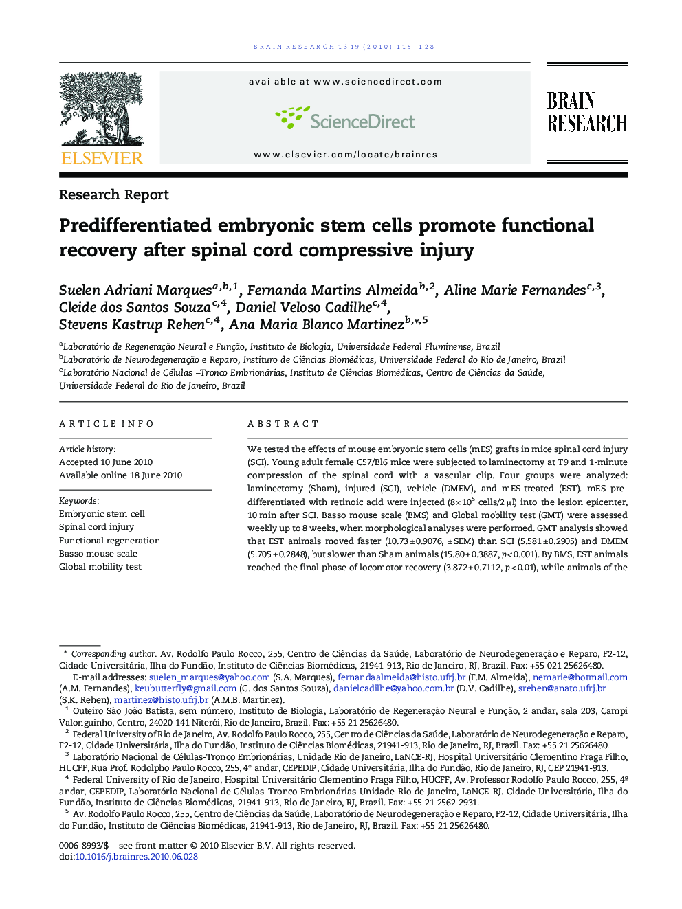 Predifferentiated embryonic stem cells promote functional recovery after spinal cord compressive injury