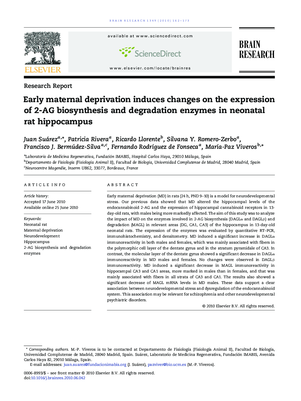 Early maternal deprivation induces changes on the expression of 2-AG biosynthesis and degradation enzymes in neonatal rat hippocampus