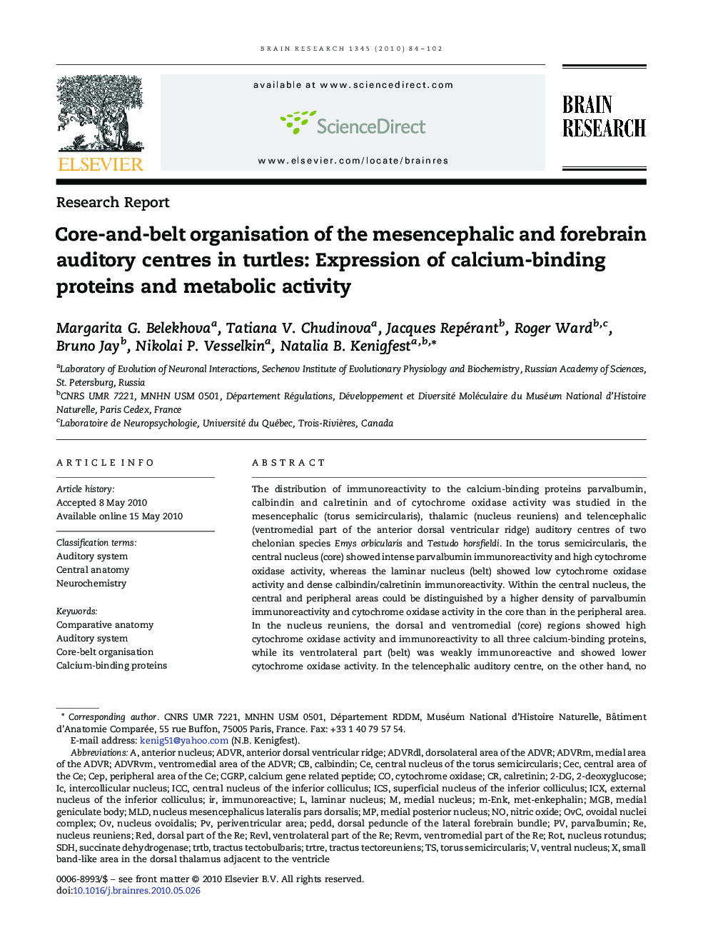 Core-and-belt organisation of the mesencephalic and forebrain auditory centres in turtles: Expression of calcium-binding proteins and metabolic activity