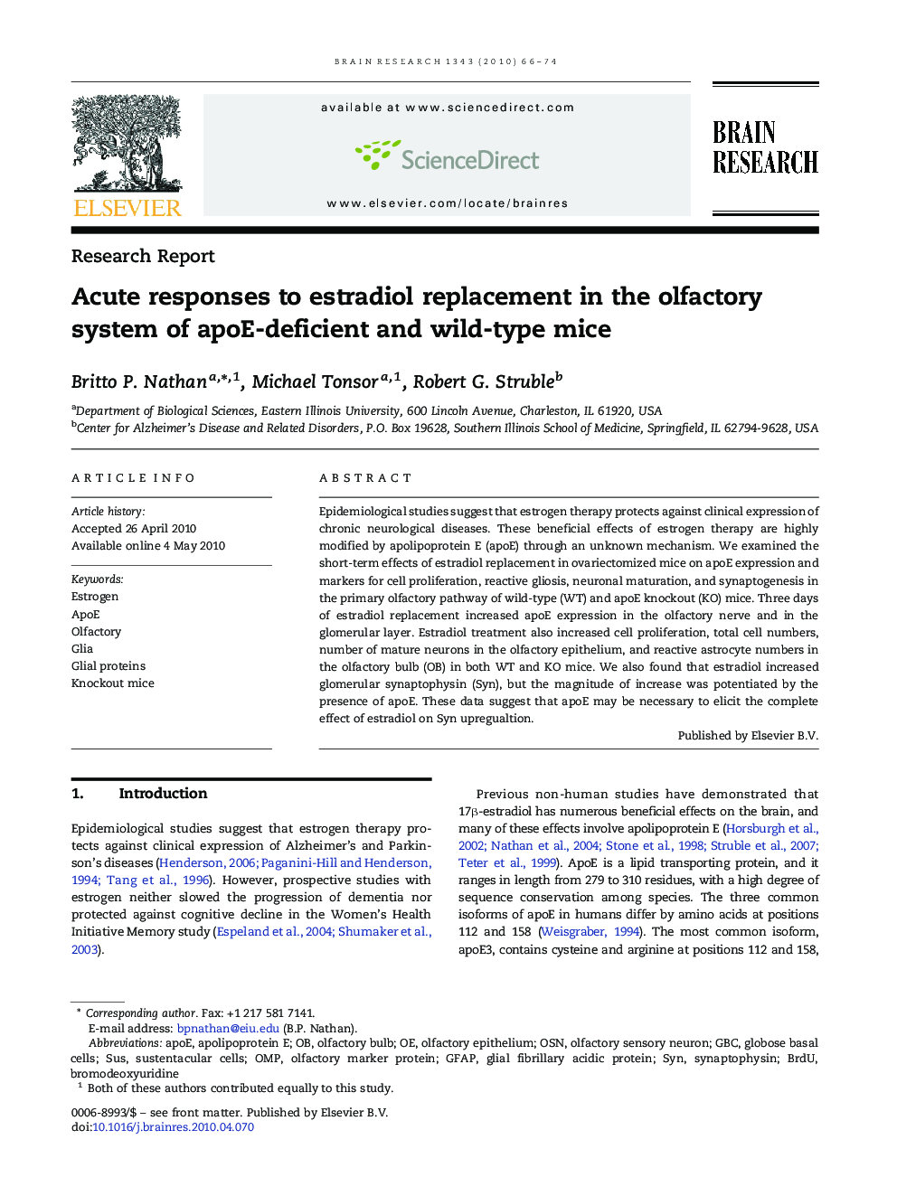 Acute responses to estradiol replacement in the olfactory system of apoE-deficient and wild-type mice